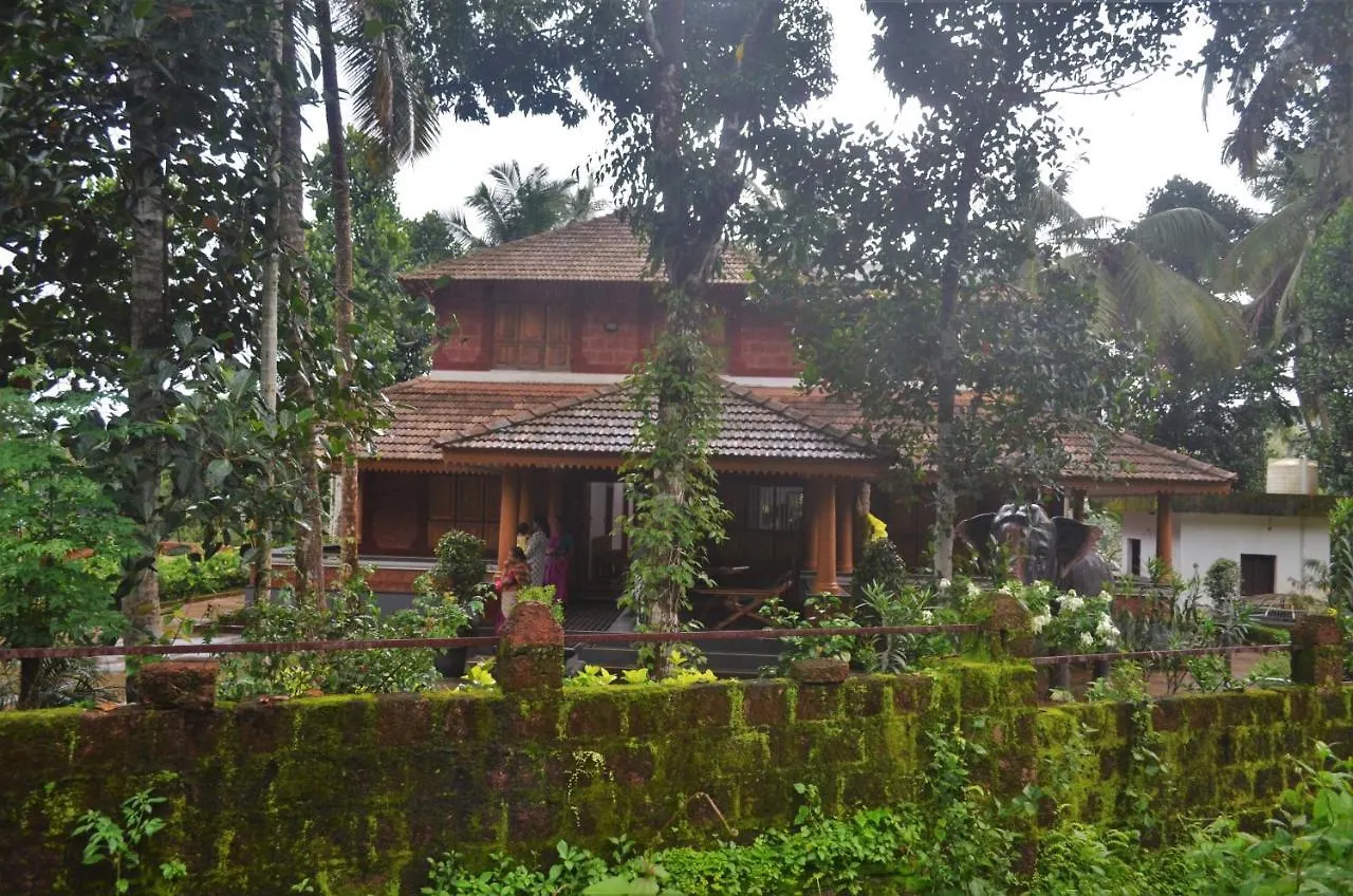 Bed & Breakfast Poonthanam Homestay Kannur
